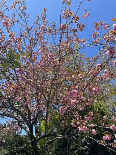 平岡八幡宮(京都府)