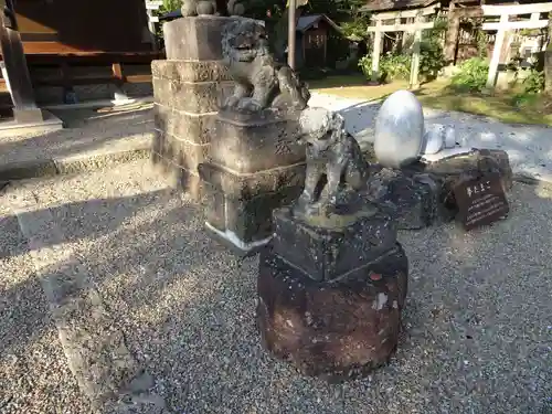 鷲宮神社の狛犬