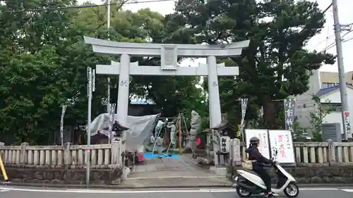 小津神社の鳥居