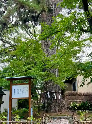 宗像神社(静岡県)