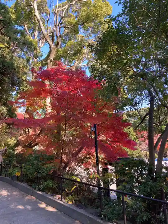 鎌倉宮(神奈川県)