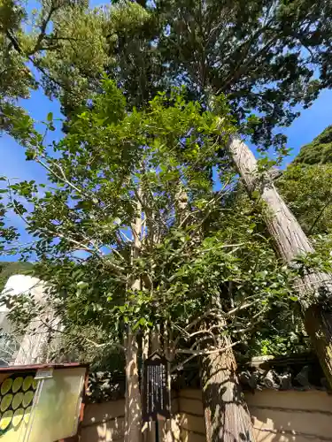 法起院(奈良県)