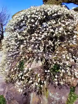 松應寺(東京都)
