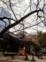 熊野神社(東京都)