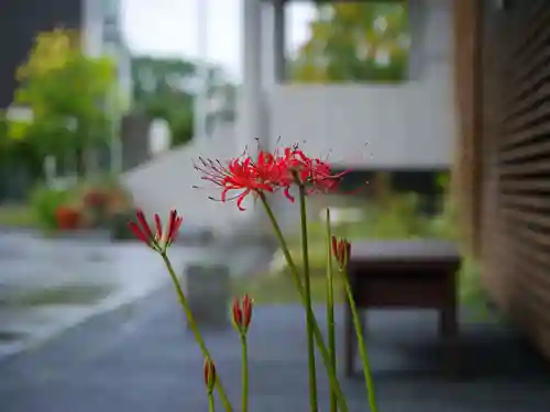 極楽山　浄土寺の自然