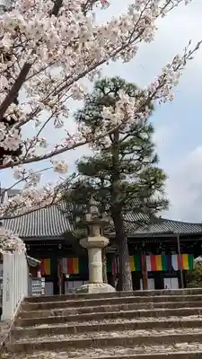 くろ谷 金戒光明寺(京都府)