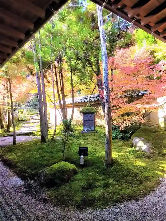 高野寺(佐賀県)