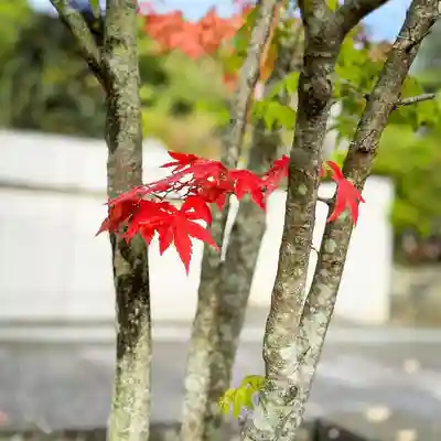 伊勢の国 四天王寺(三重県)