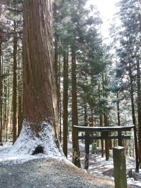 三峯神社(埼玉県)