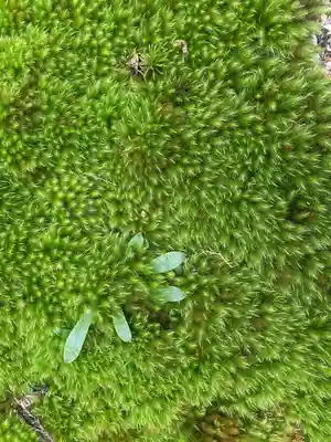 御岩神社(茨城県)