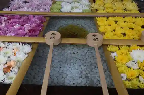 土津神社｜こどもと出世の神さまの手水舎