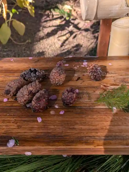 猿田彦神社(東京都)