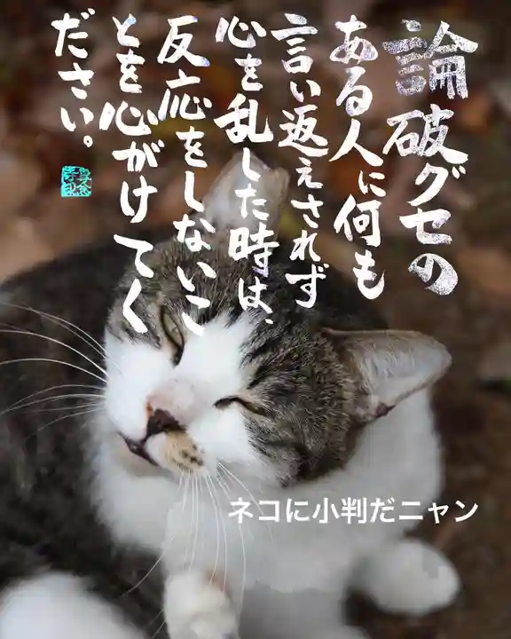 専念寺(大阪府)