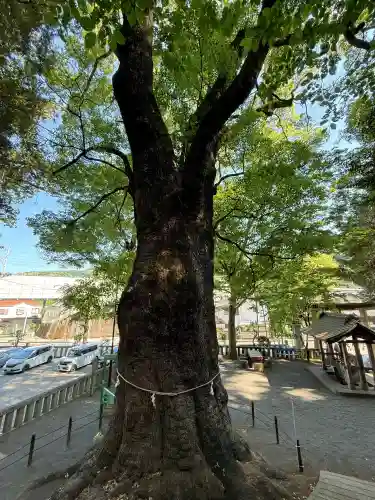 五所神社の{uncategorized: "未分類", other: "その他", undefined: "問題あり", building: "その他建物", grave: "お墓", sacred_gate: "鳥居", guardian: "狛犬", statue: "像", buddha: "仏像", history: "歴史", nature: "自然", garden: "庭園", animal: "動物", pagoda: "塔", temizu: "手水舎", mountain_gate: "山門・神門", sanctuary: "本殿・本堂", subordinate: "末社・摂社", art: "芸術", scenery: "景色", jizo: "地蔵", ema: "絵馬", goshuin: "御朱印", omikuji: "おみくじ", items: "授与品その他", amulet: "お守り", goshuincho: "御朱印帳", eats: "食事", festival: "お祭り", votive_dance: "神楽", shichigosan: "七五三参", wedding: "結婚式", experience: "体験その他", initially: "初詣", around: "周辺", anti_infection: "感染症対策"}