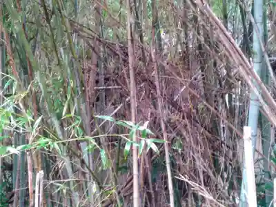 普春院の本殿・本堂