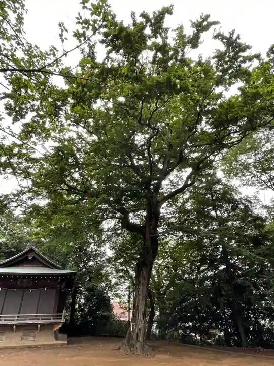 久我山稲荷神社のその他建物