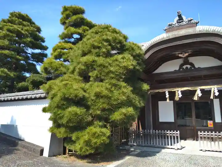 五社神社 諏訪神社(静岡県)