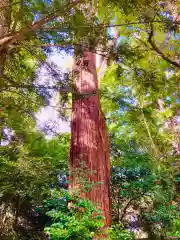 香取神宮(千葉県)