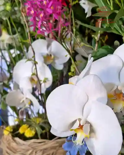 立志神社(滋賀県)