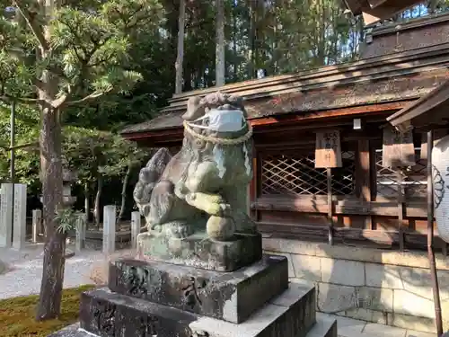 建部大社の狛犬