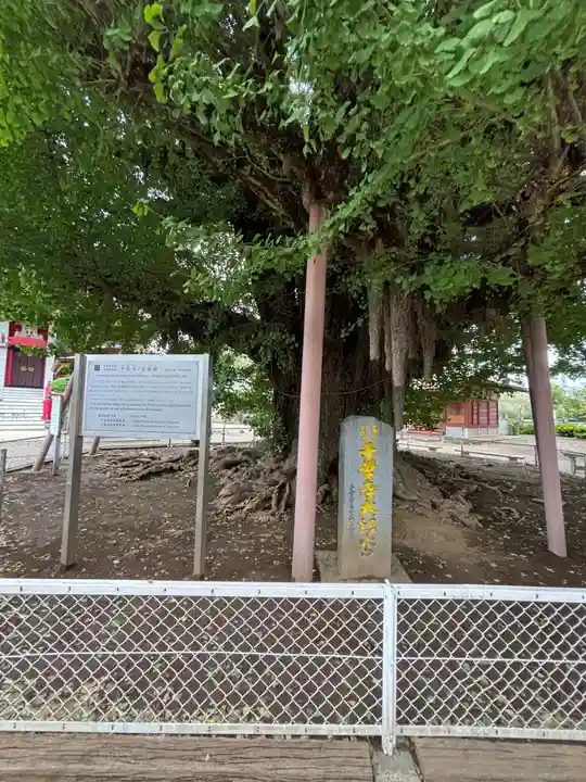 千葉寺(千葉県)