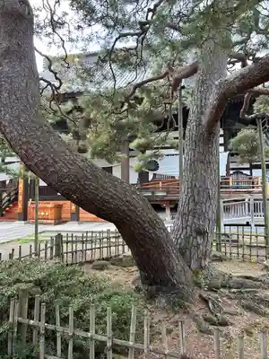 善光寺大勧進(長野県)