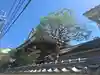 法輪寺 (日蓮宗法音寺京都支院)(京都府)