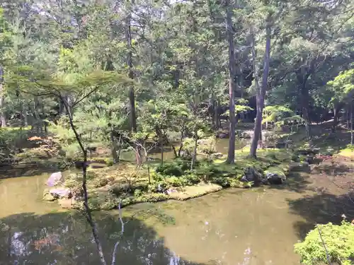 西芳寺の庭園