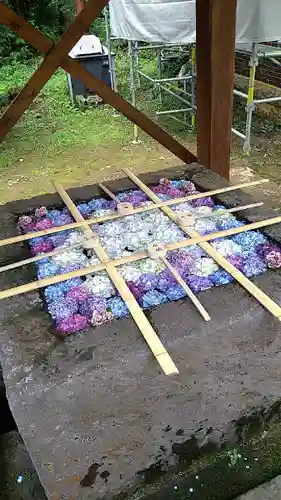 土津神社｜こどもと出世の神さまの手水