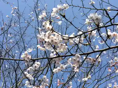 東郷神社(福岡県)
