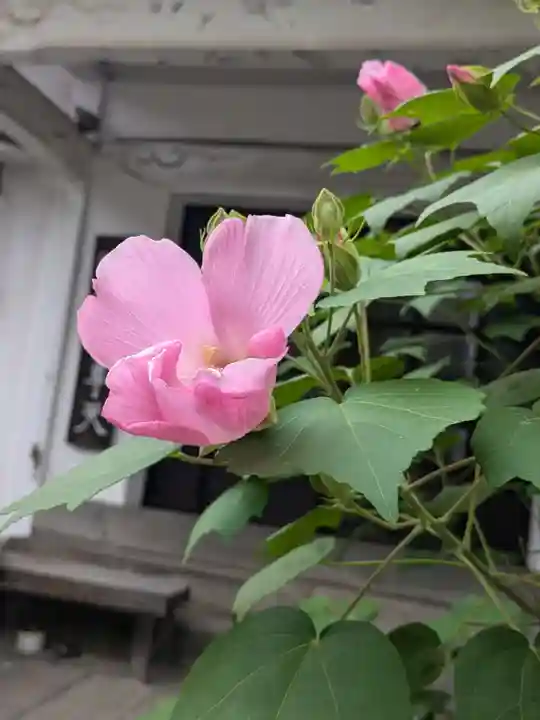 本光寺(東京都)