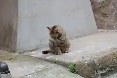 光明寺(広島県)