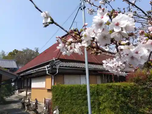 三明寺(愛知県)