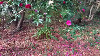 恵比寿神社(静岡県)