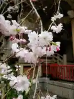 矢先稲荷神社(東京都)