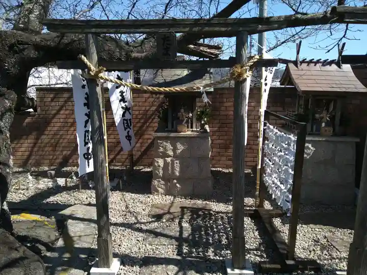 たま神社の{uncategorized: "未分類", other: "その他", undefined: "問題あり", building: "その他建物", grave: "お墓", sacred_gate: "鳥居", guardian: "狛犬", statue: "像", buddha: "仏像", history: "歴史", nature: "自然", garden: "庭園", animal: "動物", pagoda: "塔", temizu: "手水舎", mountain_gate: "山門・神門", sanctuary: "本殿・本堂", subordinate: "末社・摂社", art: "芸術", scenery: "景色", jizo: "地蔵", ema: "絵馬", goshuin: "御朱印", omikuji: "おみくじ", items: "授与品その他", amulet: "お守り", goshuincho: "御朱印帳", eats: "食事", festival: "お祭り", votive_dance: "神楽", shichigosan: "七五三参", wedding: "結婚式", experience: "体験その他", initially: "初詣", around: "周辺", anti_infection: "感染症対策"}