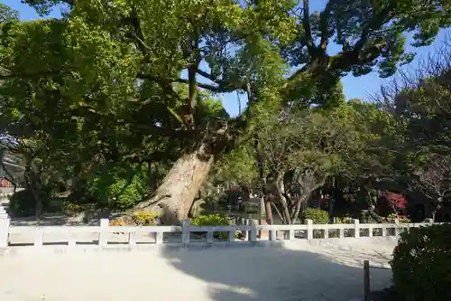 太宰府天満宮の庭園