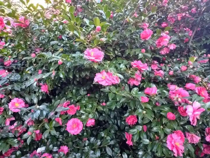 打越天神北野神社(東京都)