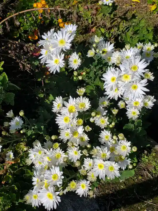 石都々古和気神社(福島県)