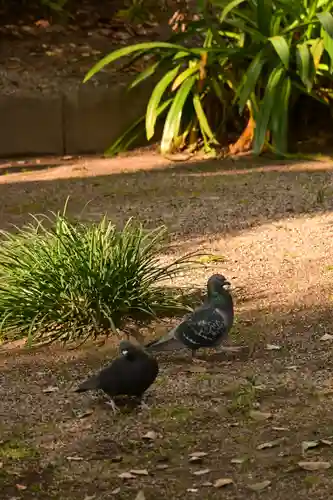 東長寺(福岡県)