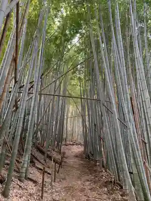 子安神社の周辺
