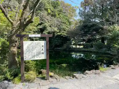富士山本宮浅間大社(静岡県)