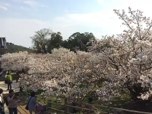 仁和寺(京都府)