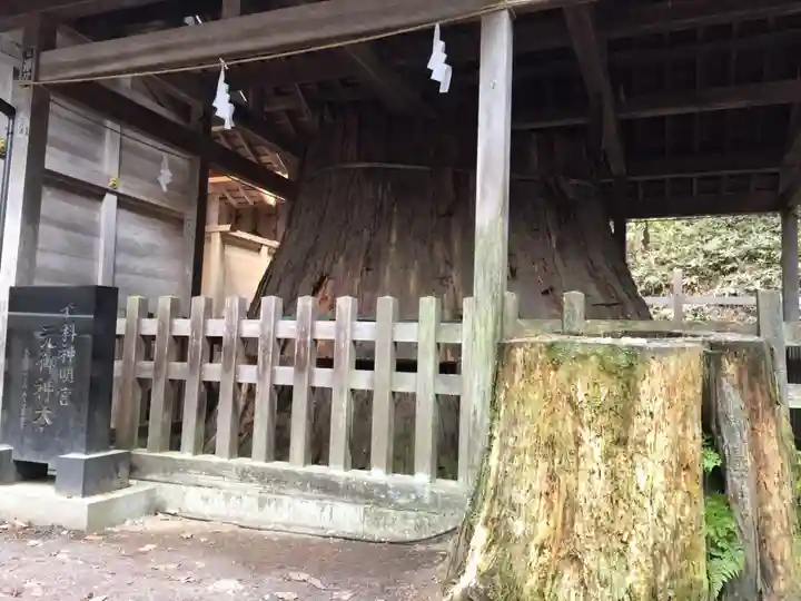 仁科神明宮のその他建物