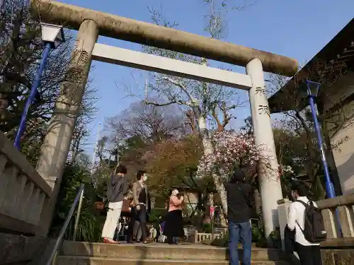 五條天神社の鳥居