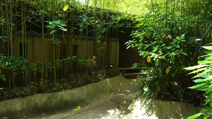 來宮神社(静岡県)