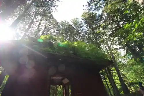 戸隠神社奥社(長野県)