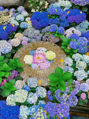 岡寺（龍蓋寺）(奈良県)