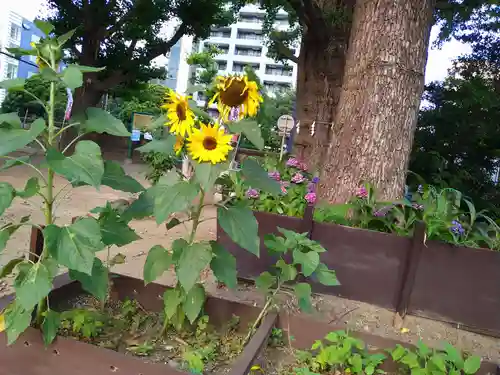磐井神社の自然