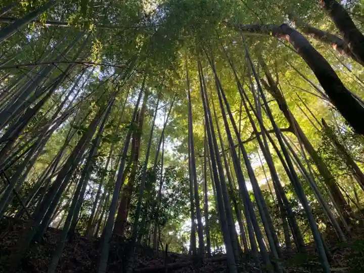 諏訪神社の周辺